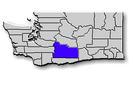 Washington